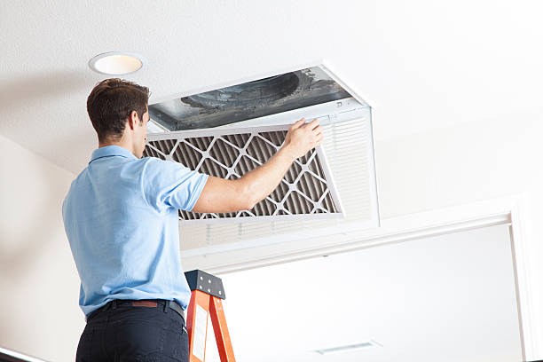 Best HVAC cleaning services  in Elyria, OH